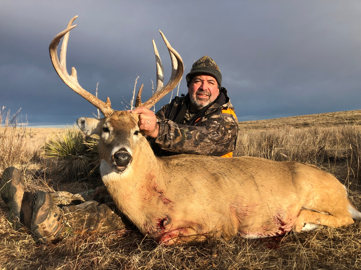 Colorado Whitetail Hunts